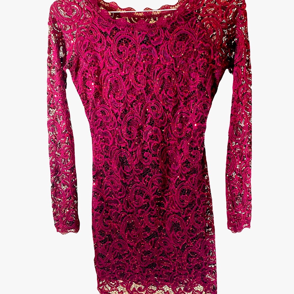 Wine Red Long Sleeve Sequined Sheer Lace BodyCon Cocktail Dress